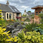 Close up of garden view and foliage Perth