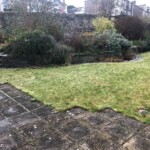 Neglected back garden in Broughty Ferry