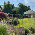 Full view of new garden in Dundee