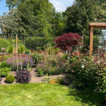 Newly planted bushes and flowers in Angus