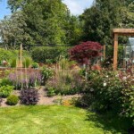Newly planted bushes and flowers in Angus