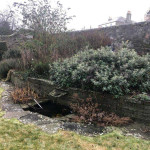 Old paved garden before modern redesign in Dundee
