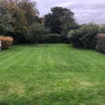 Backyard before full tidy-up and waste removal in Angus