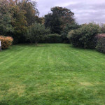 Backyard before full tidy-up and waste removal in Angus