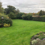 Before image of a large tired looking garden