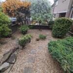 Whole view of trimmed bushes and stonework in Dundee