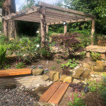 My Garden the limes Angus